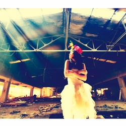 dailyPhoto4